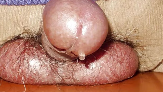 La nana se fait passer pour une vraie prostituée. Son corps est à moitié couvert de tatouages. Et quand l'étalon s'est approché video porn femme enceinte d'elle, elle a enlevé ses lunettes noires, a ouvert la bouche et a avalé le moignon de toute sa longueur.