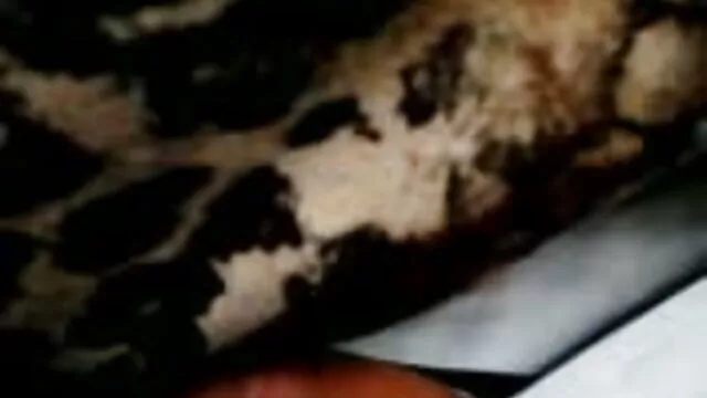 Baise video x femme enceinte moi plus tard